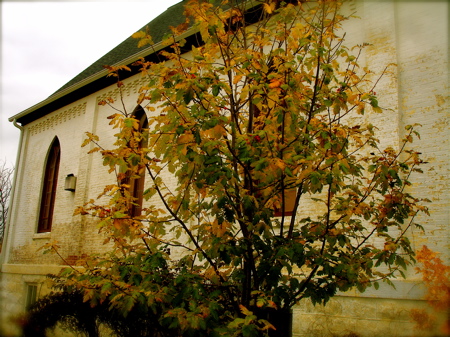 Fun Fall Luxuries ~ by Sandy Erdman