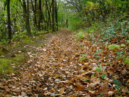 autumn unconfined