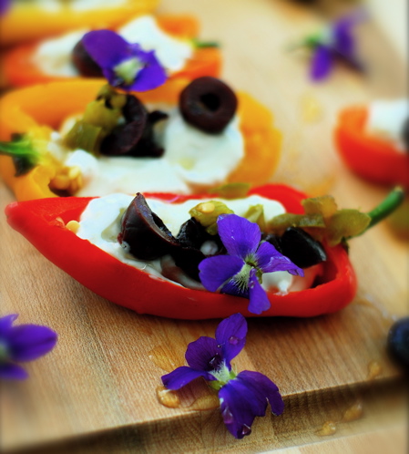 stuffed baby bells with greek yogurt & rose honey