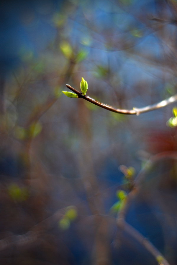 spring weekending